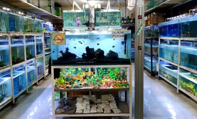 toko ikan hias terdekat di Salatiga